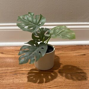 Monstera Faux Plant in White Ribbed Pot